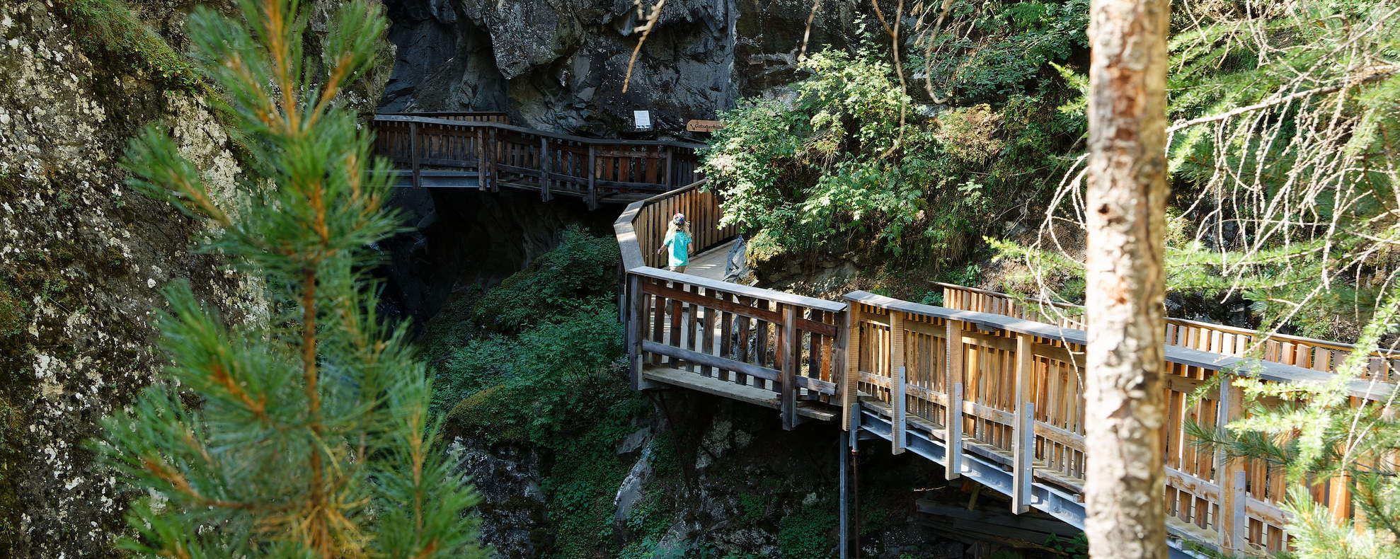 gorges-de-la-gorner-et-bois-de-vorderi-sommets-ch